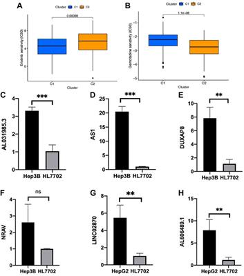 Identification and validation of a prognostic model of necroptosis-related lncRNAs in hepatocellular carcinoma